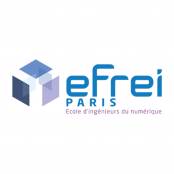 Logo EFREI.jpg